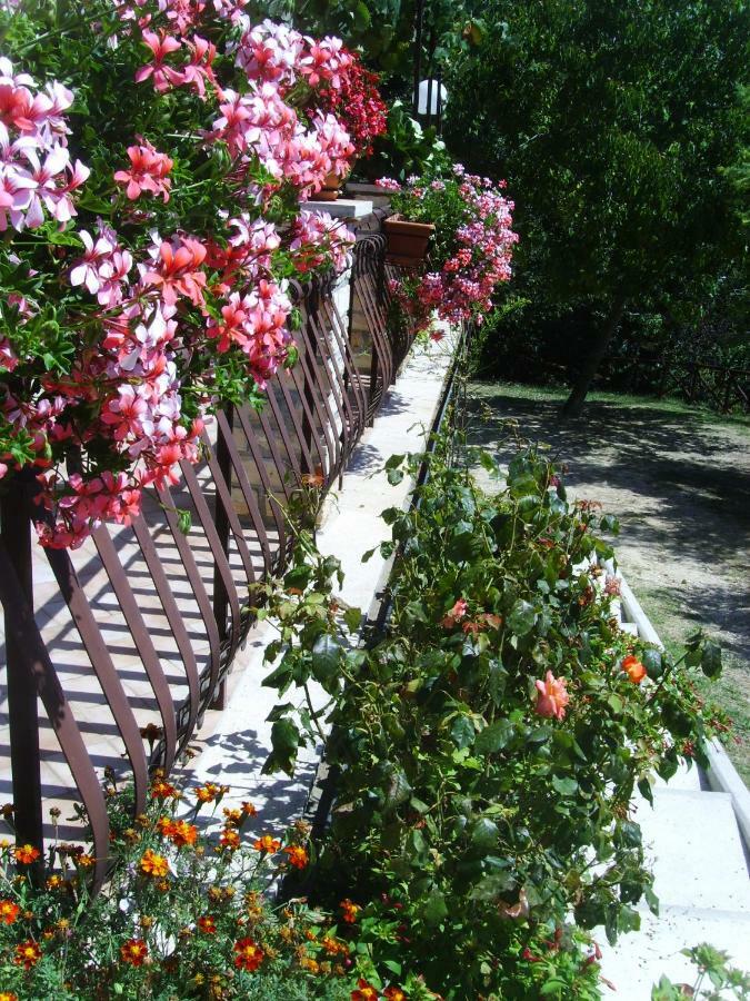 Casa Lieta Panzió Subiaco Kültér fotó